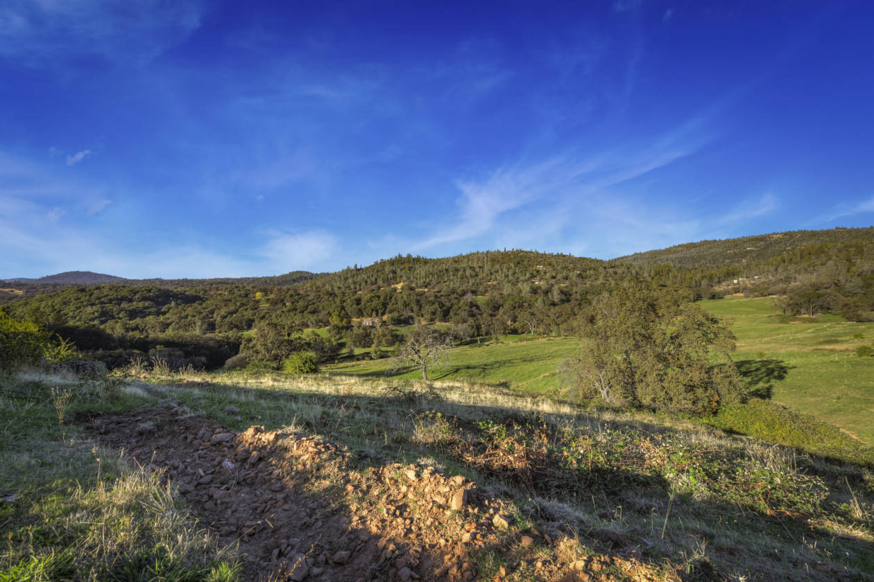 323 +/ Acre Fenced & Secluded Property w/ 4 Structures... Grass