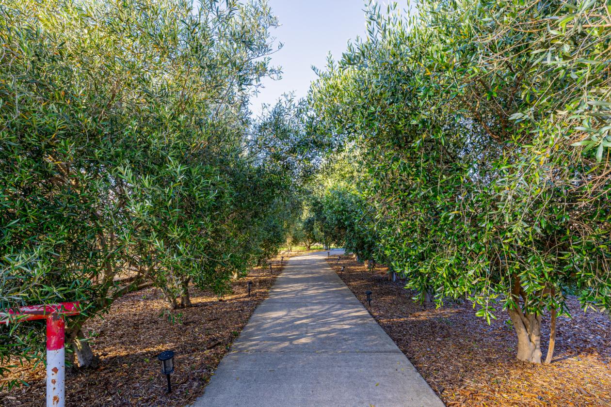 A Rare Two-Parcel Equestrian Estate in Napa Valley - photo 11