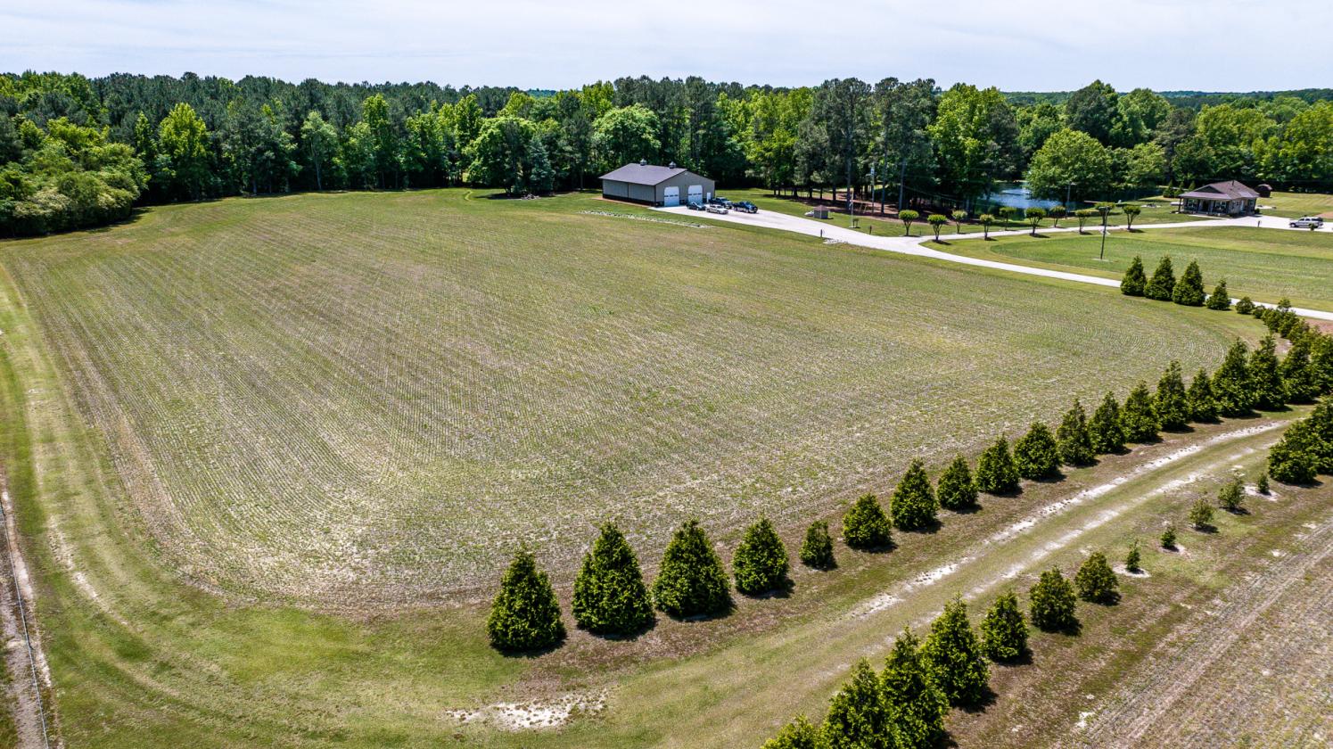 87.84 ACRES WITH FARM HOUSE AND POND - photo 11