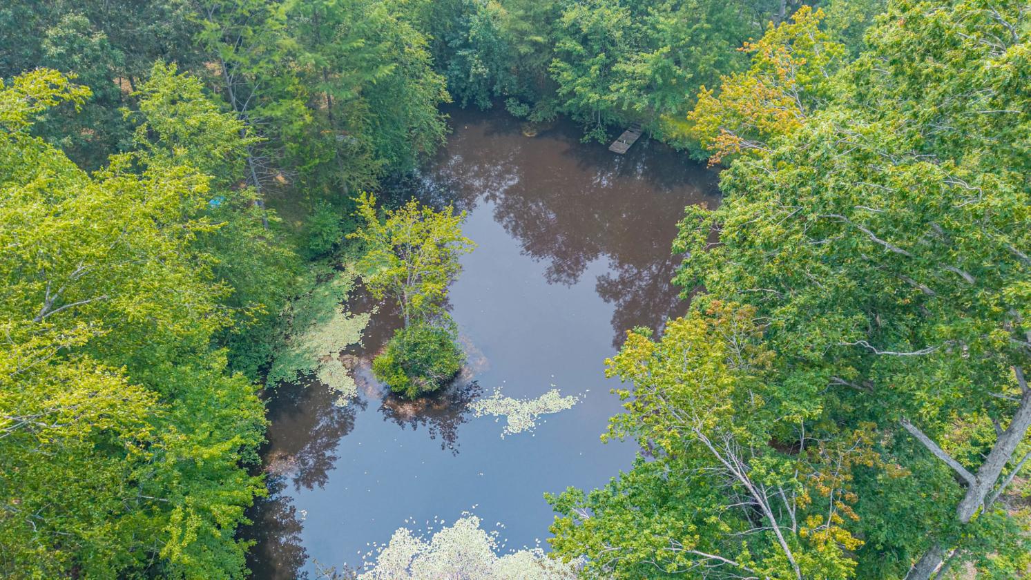 Ironwood Farm offering over 75 acres - photo 29