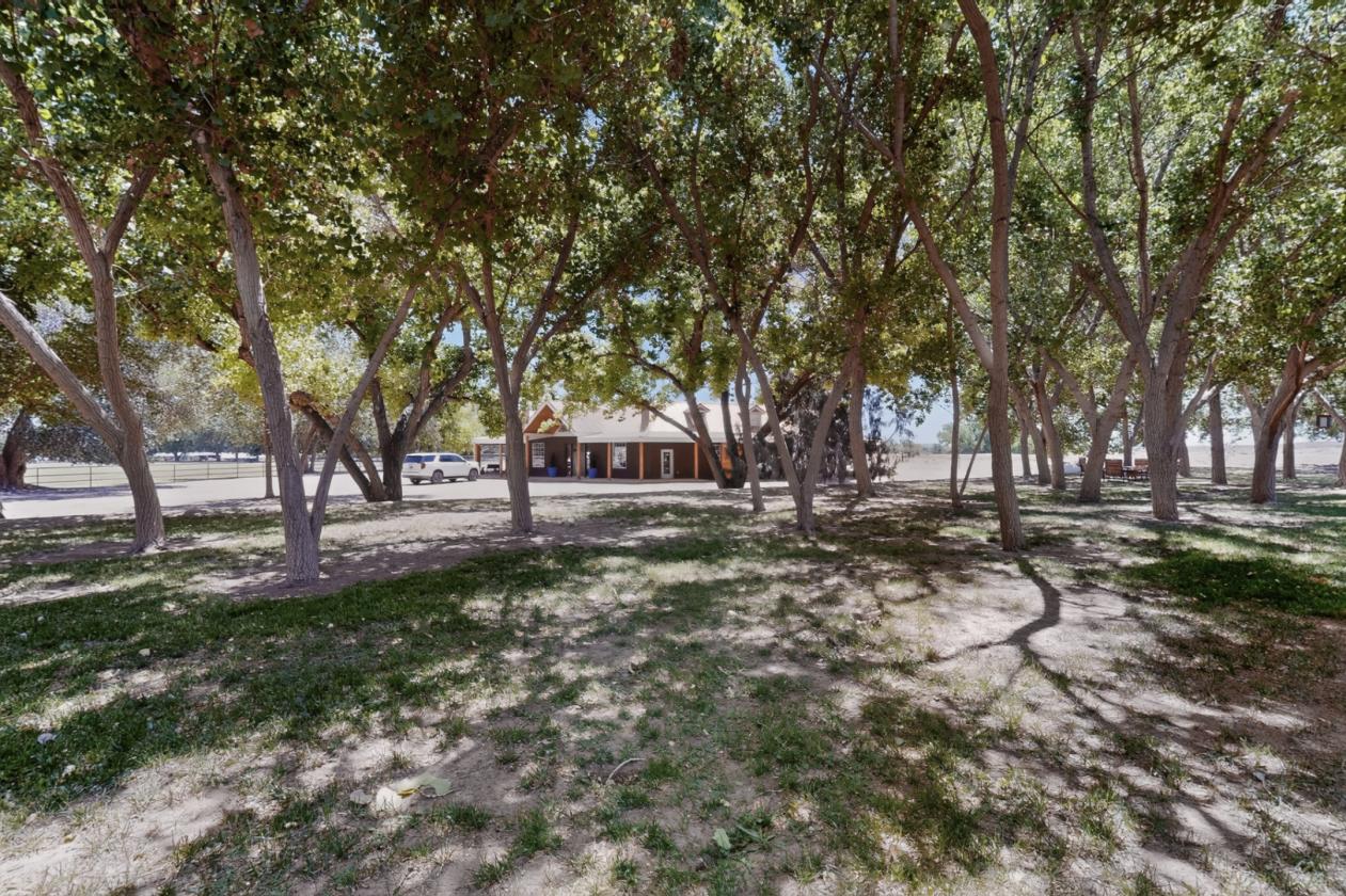 20.4 Acres WATER for growing and horse - photo 17