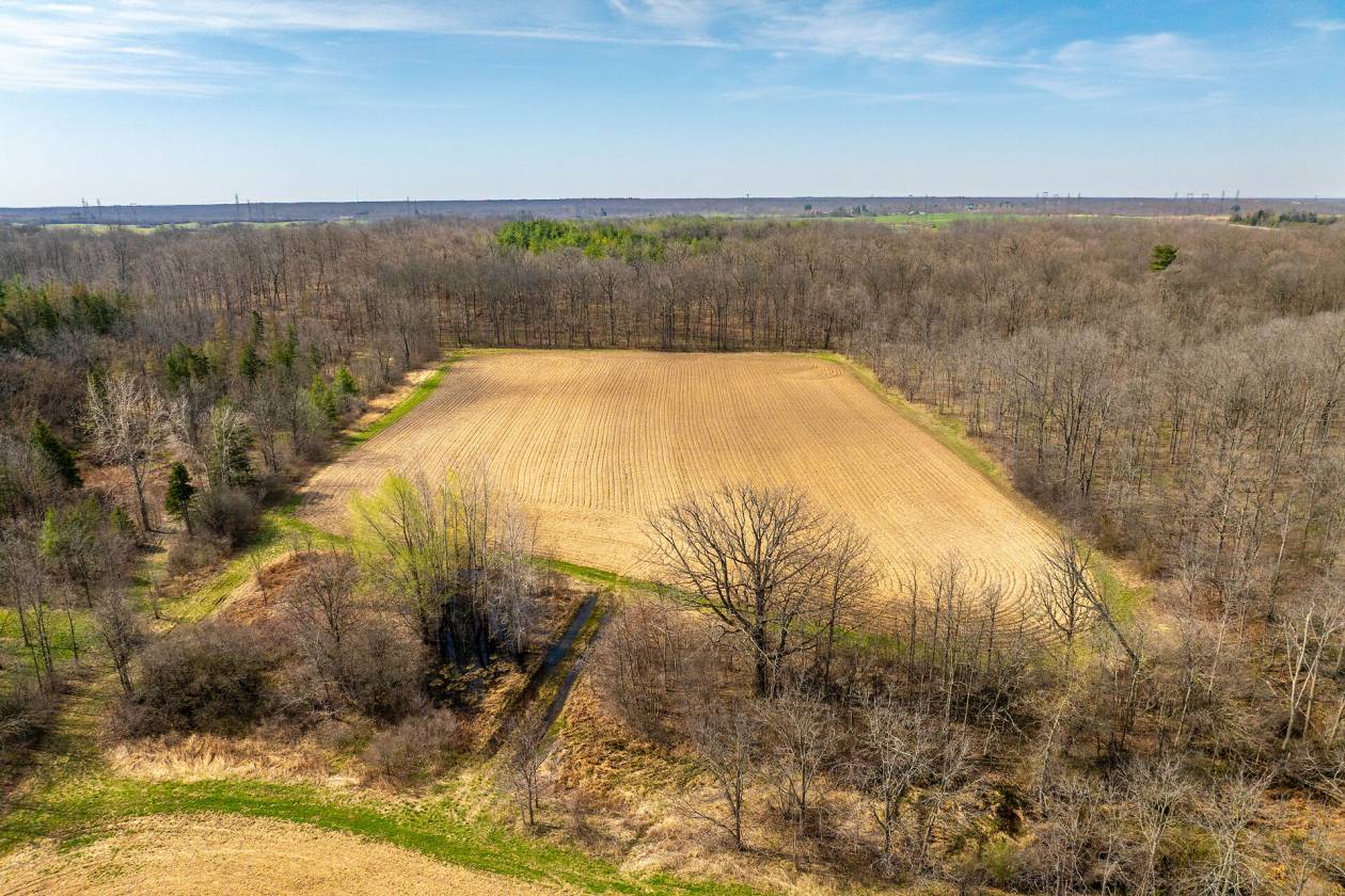99 Acre Farm - photo 9