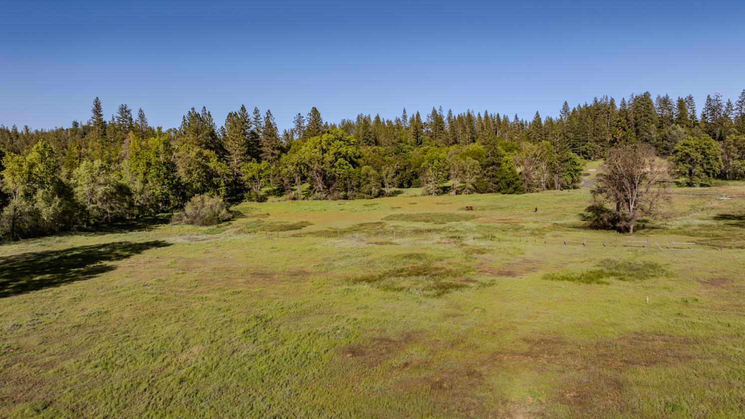 40 Acres - Fully ADA/Wheelchair Accessible - photo 11