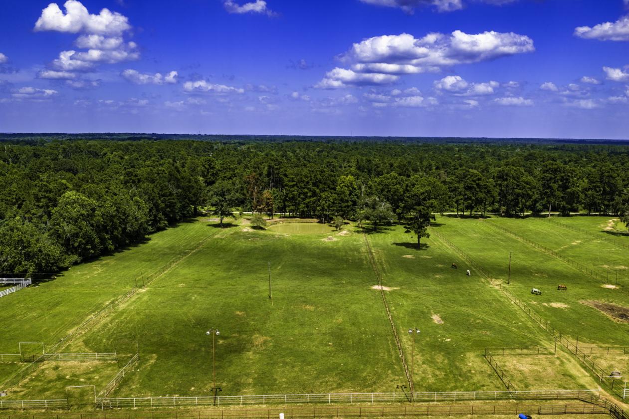 35.14± Acres | Premier Horse Property with Covered - photo 10