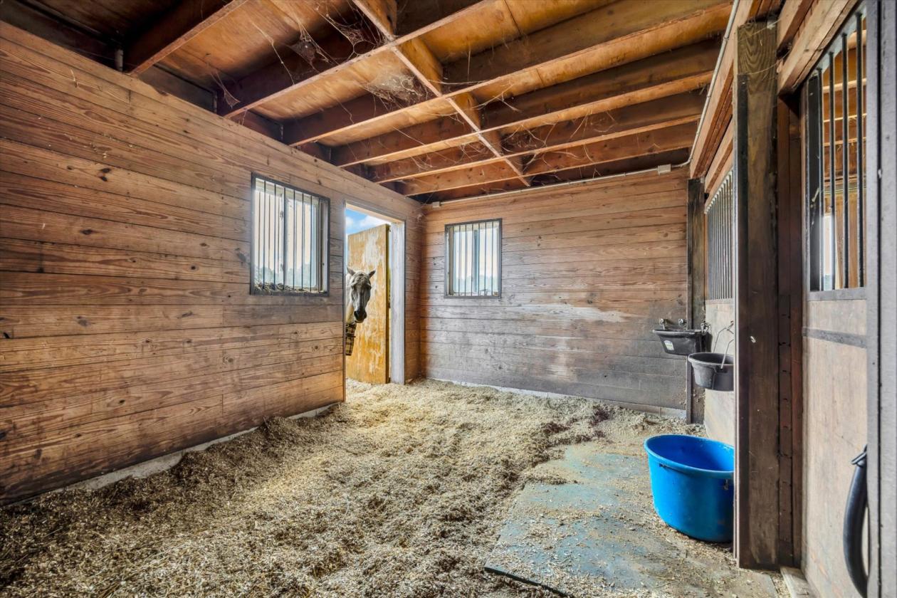 Premier Equestrian Estate - photo 24