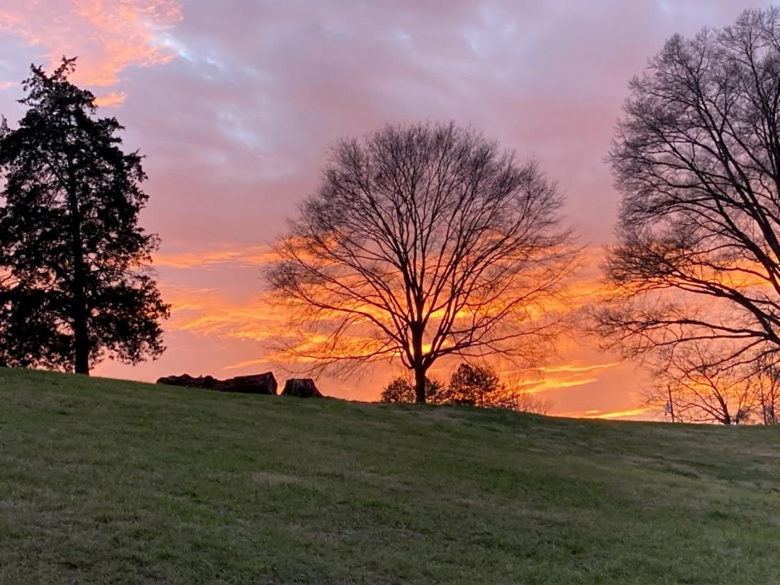 Equestrian Retreat with Pastures and Sunset Views - photo 3