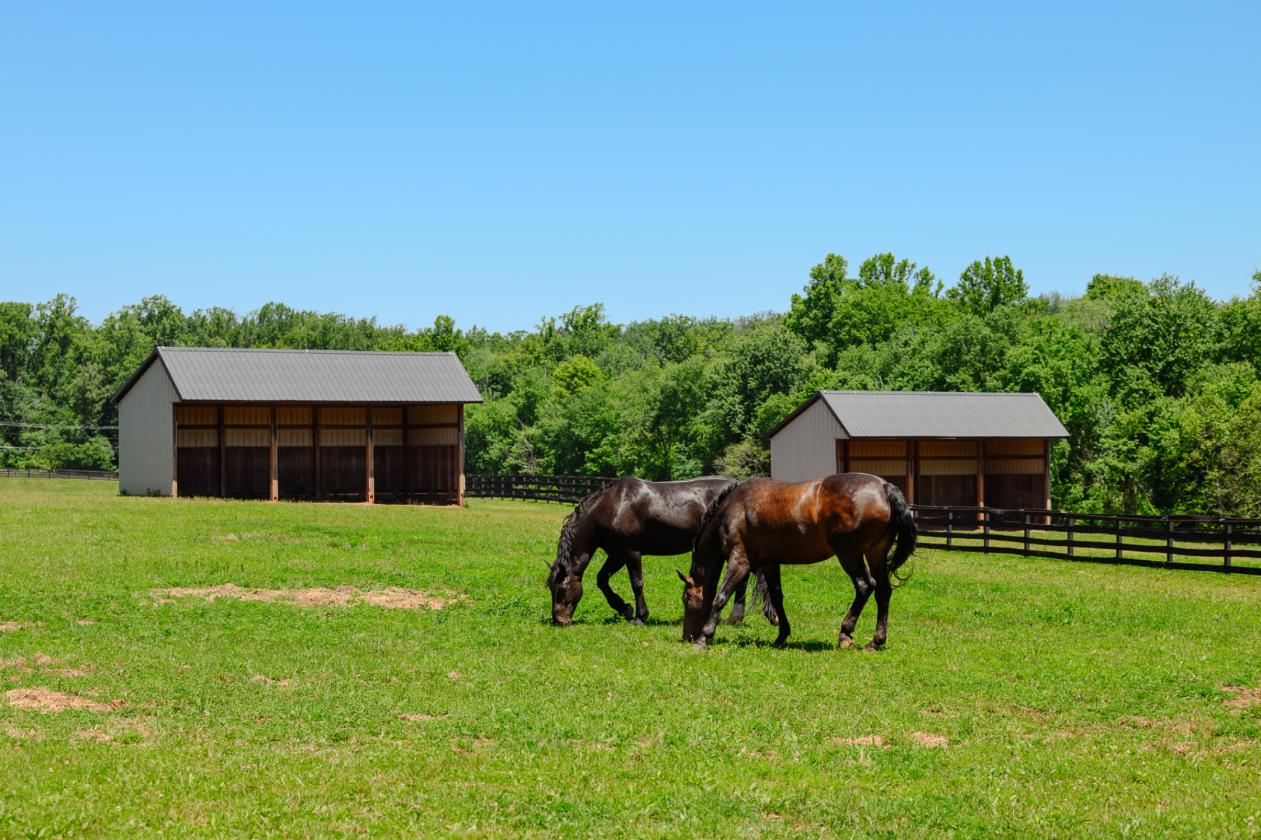 Equestrian Estate - Expanded Home, Barn & Arena! - photo 6