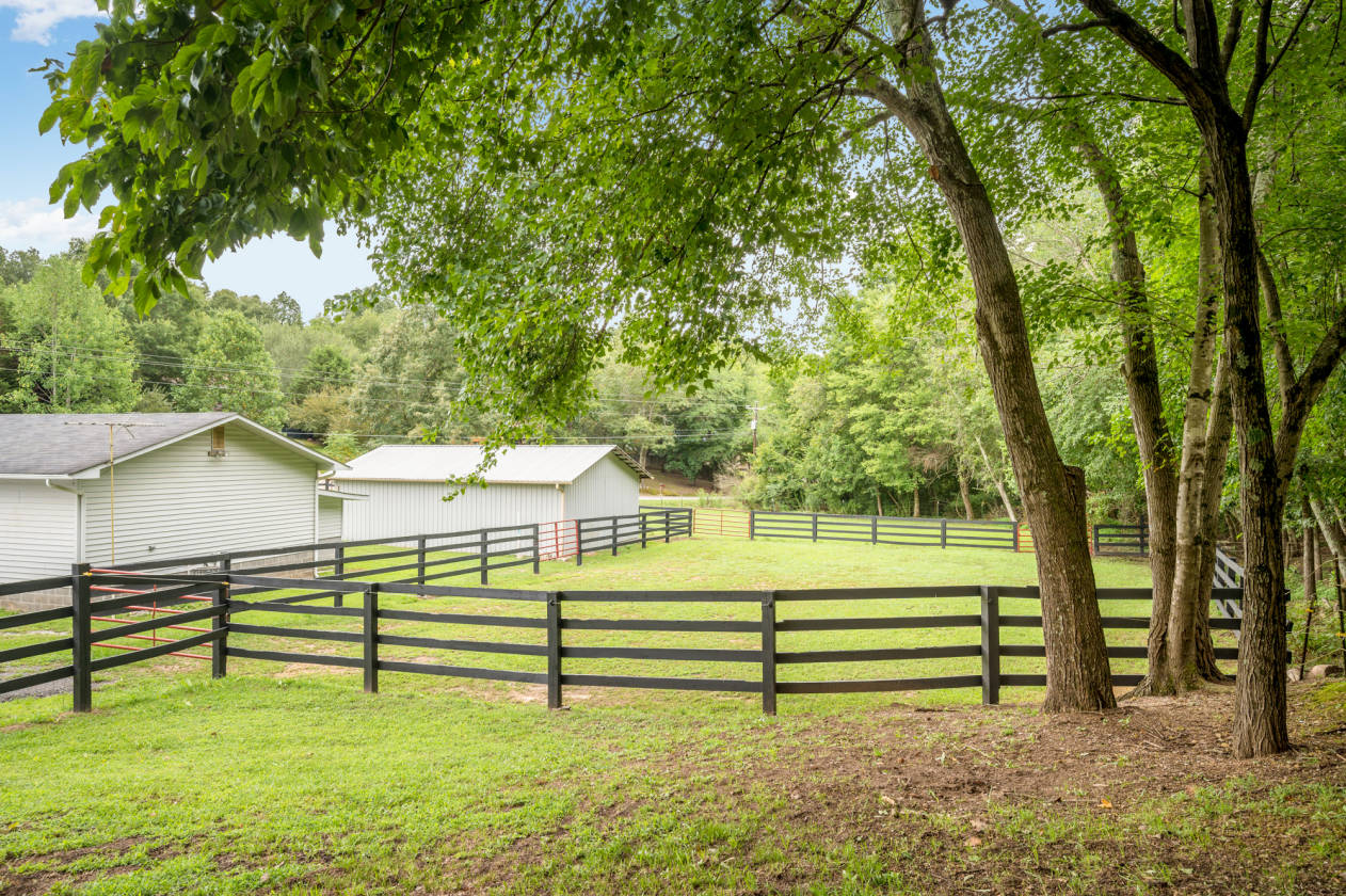 Bring your horses.... Birchwood, Hamilton County, Tennessee