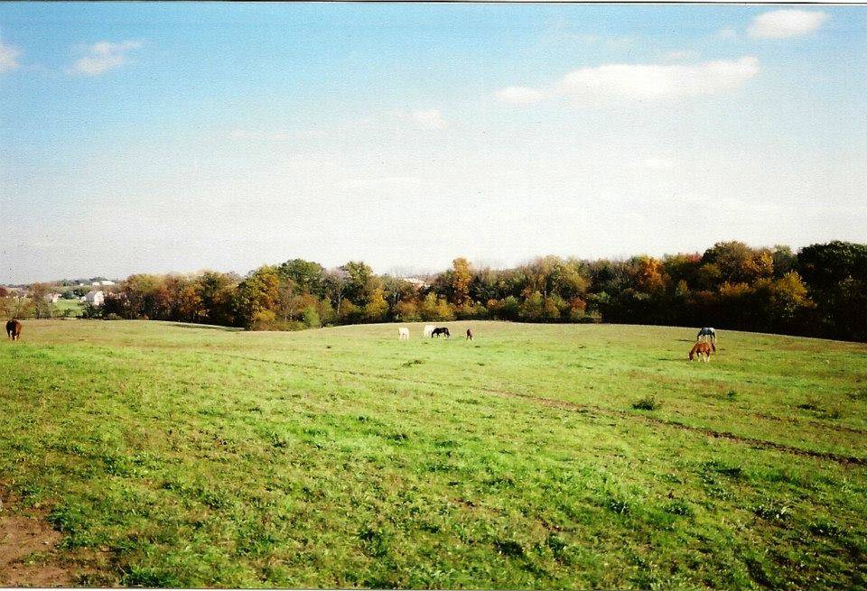 Carlisle Springs Farm - photo 17