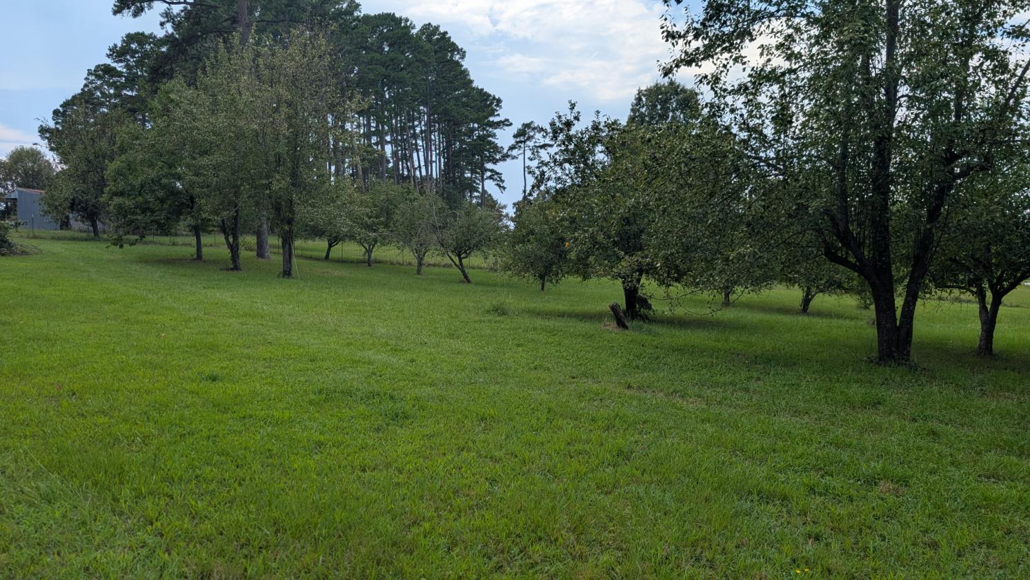 Homesteader's Paradise - photo 23