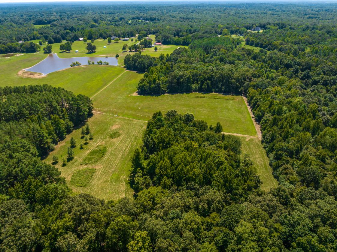 Manicured Equestrian Estate on 65 Acres - photo 3