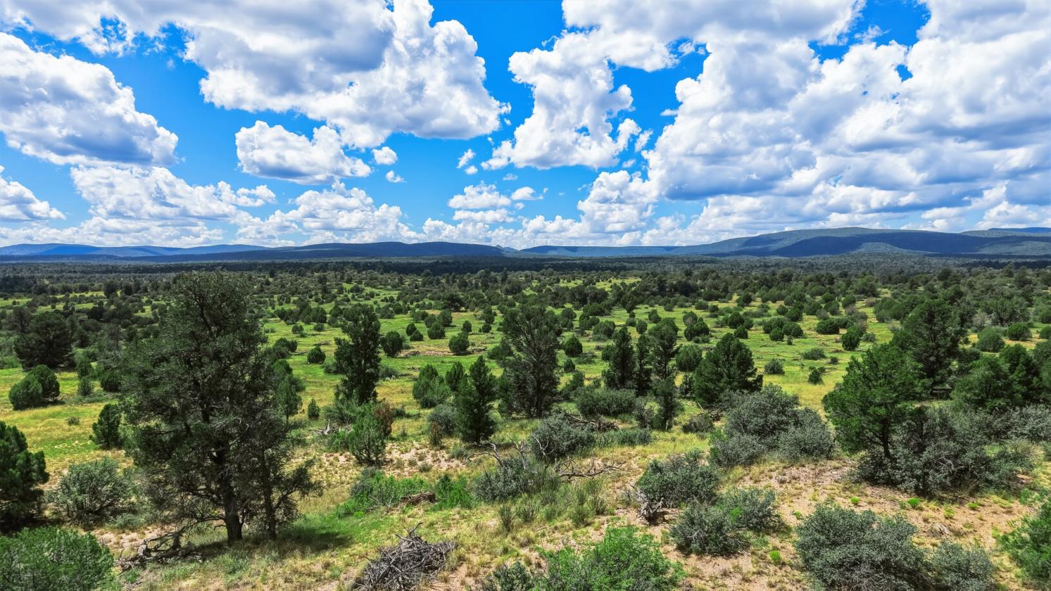 200 Acres in Yavapai County - photo 15