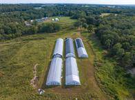 Beautiful 177 +/- acres - photo 8