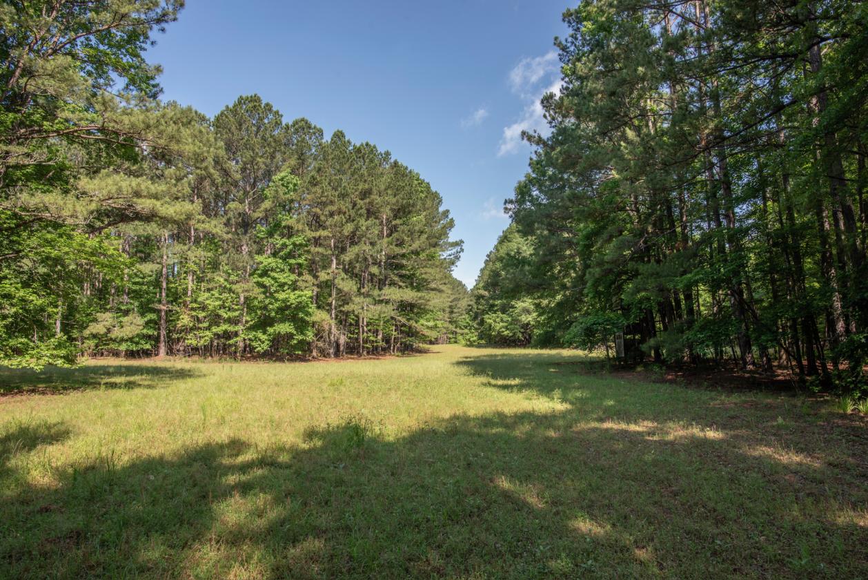 1028 ACRES - SPORTING/EQUESTRIAN - photo 6