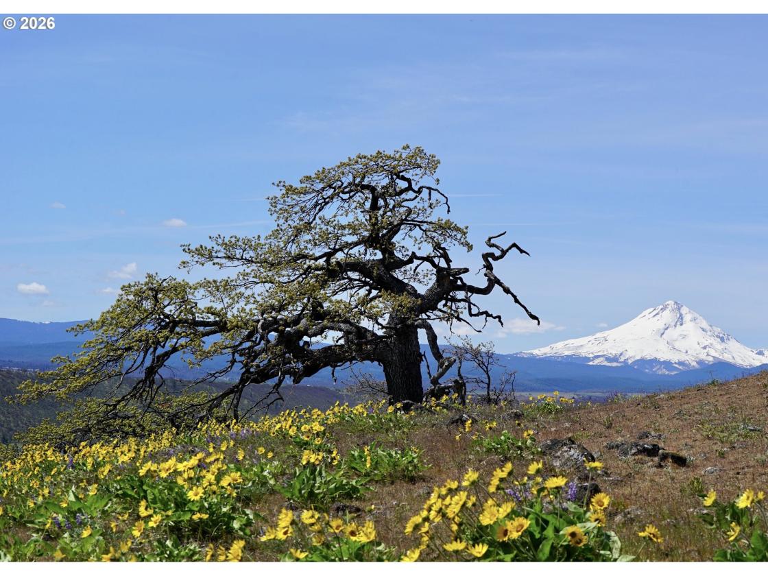 This Rare 288 Acre Legacy Property Awaits You! - photo 16