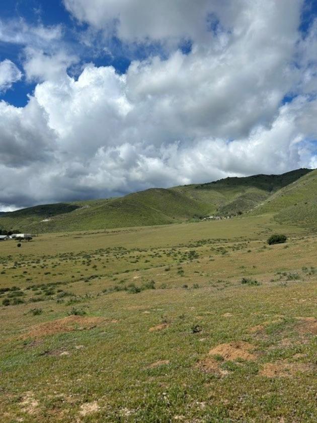 BEAUTIFUL AGUA DULCE VIEWS 160 ACRES - photo 4