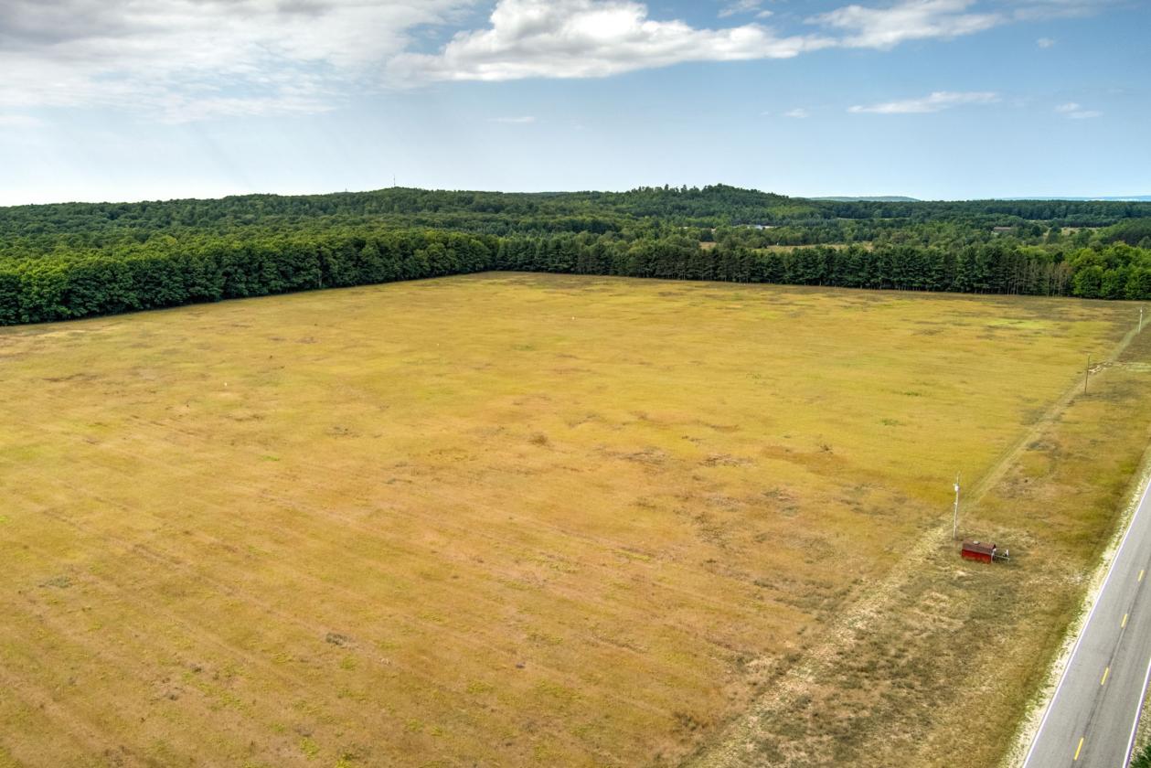 50.20 ACRES – BUILD YOUR EQUESTRIAN ESTATE & FARM - photo 17