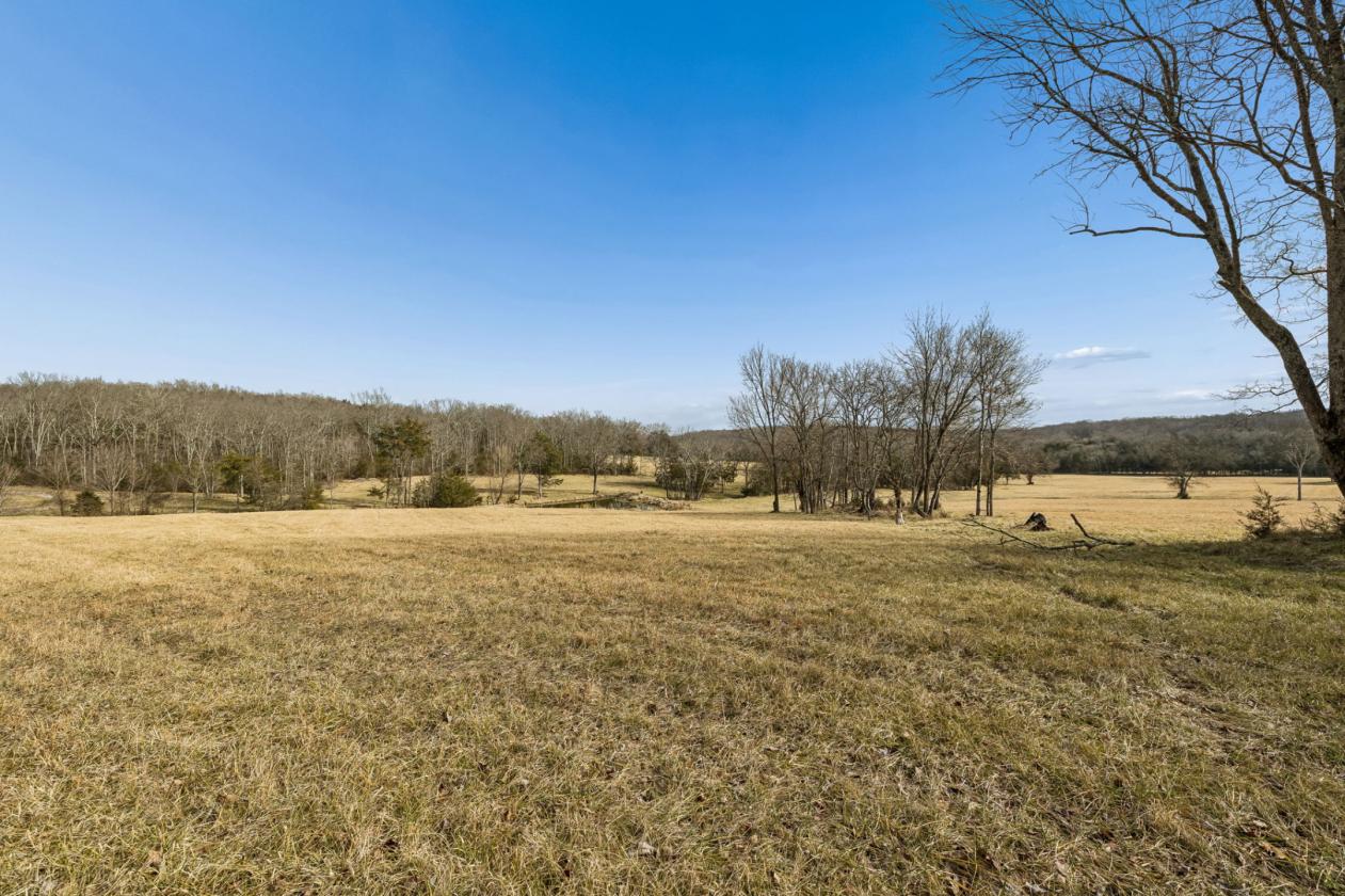 175 Gorgeous Acres - photo 13