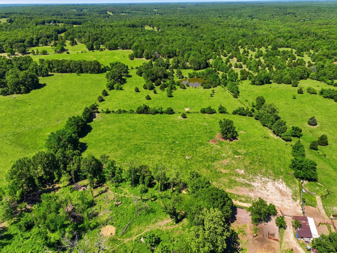 Spear M Cattle Company - photo 3