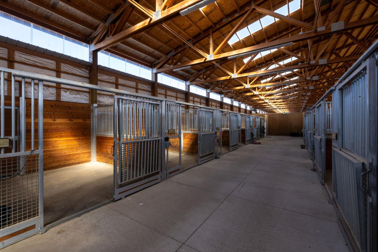 Commercial Horse Training Facility - photo 14