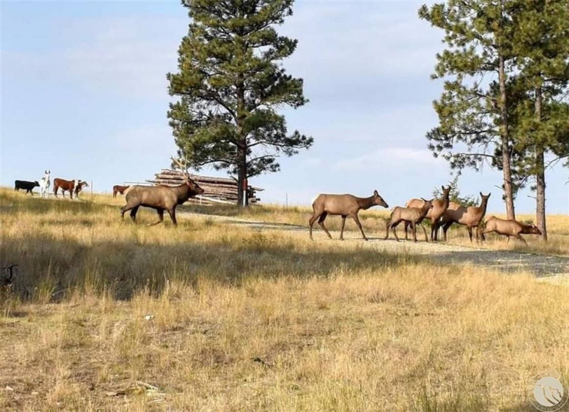 173-Acre Ranchette - Just 1 Hour from Billings - photo 26