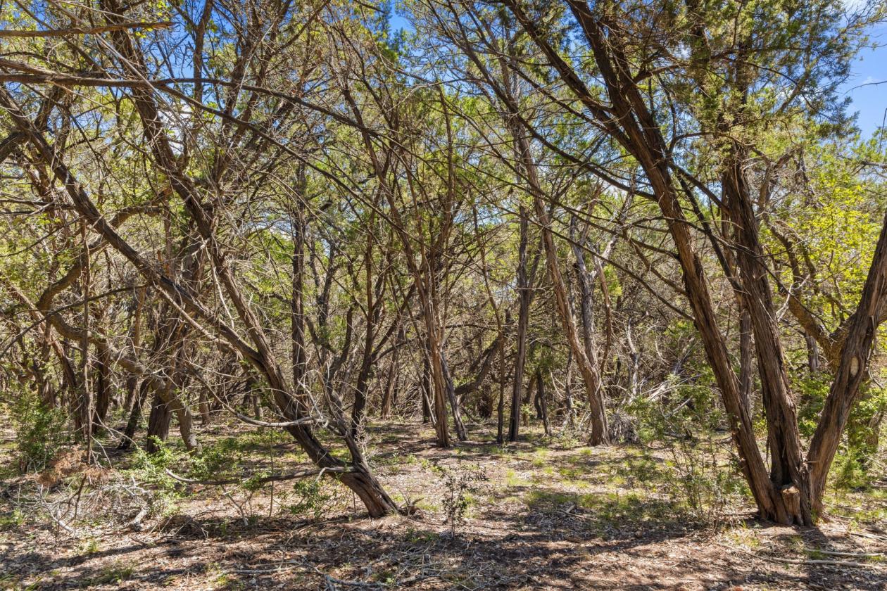 60+ Unrestricted Acres in Scenic Blanco River Valley - photo 28