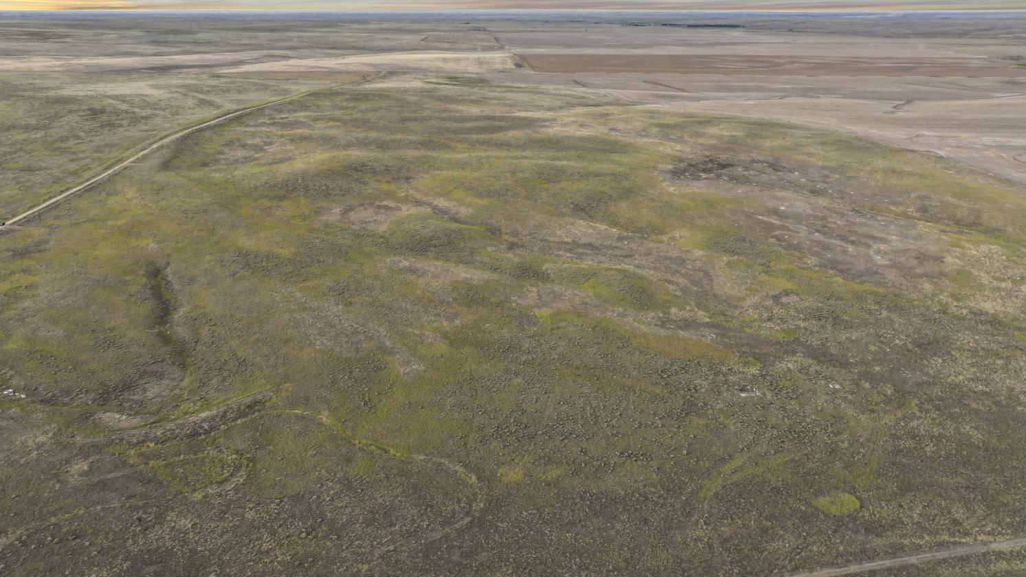 UP TO 80 ACRES AVAILABLE - photo 3