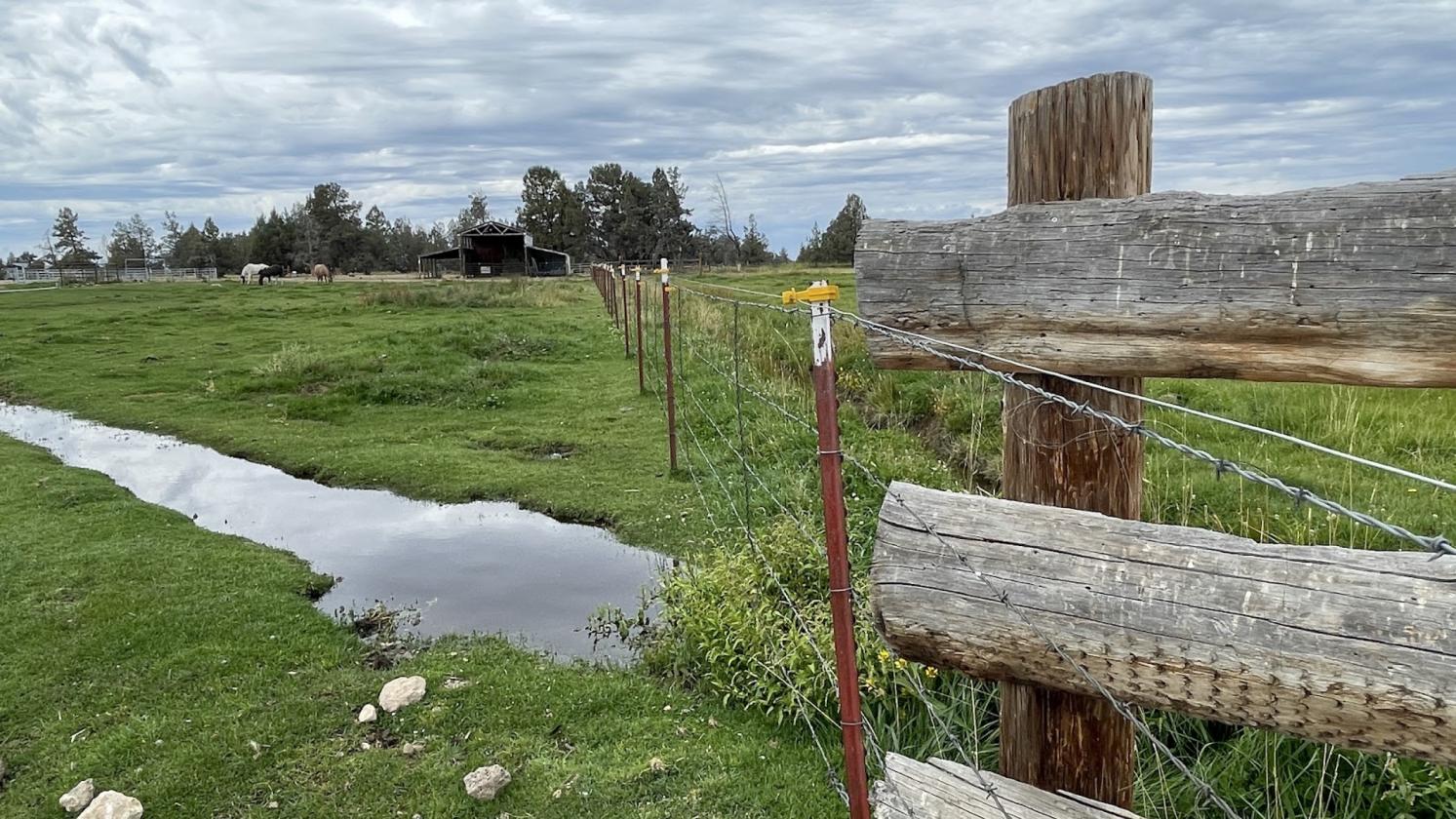 29 Acres | 24.34 Irrigated | Horse-Ready - photo 8