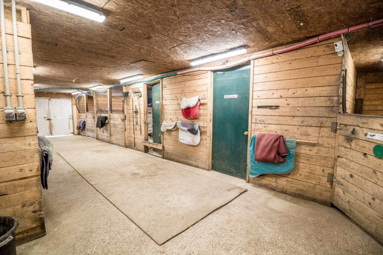 House, Loft, Arena & 17 Stall Barn - photo 5
