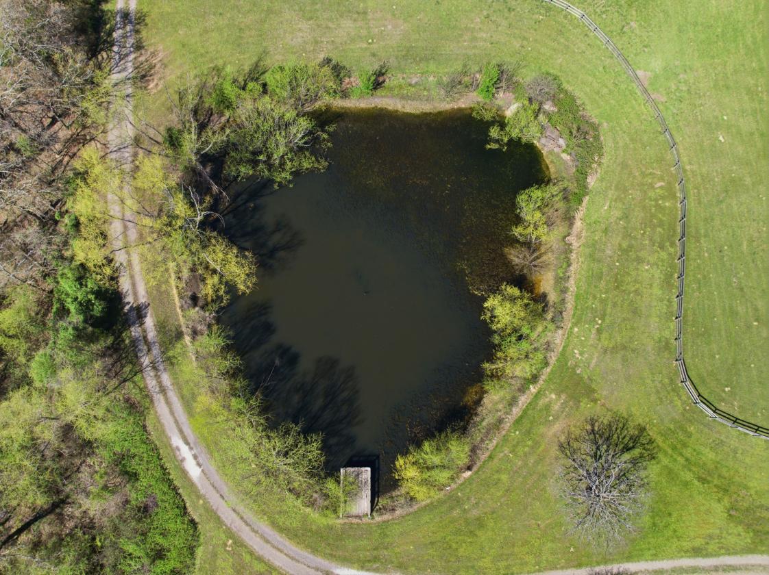 21 acre +/- HOBBY HORSE RANCH w/ ARENA AND POOL - photo 26