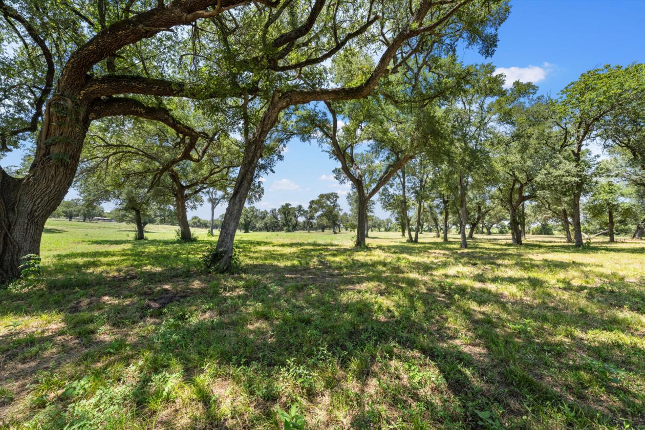 Beautiful 101 Acre Equestrian Facility & Residence - photo 22