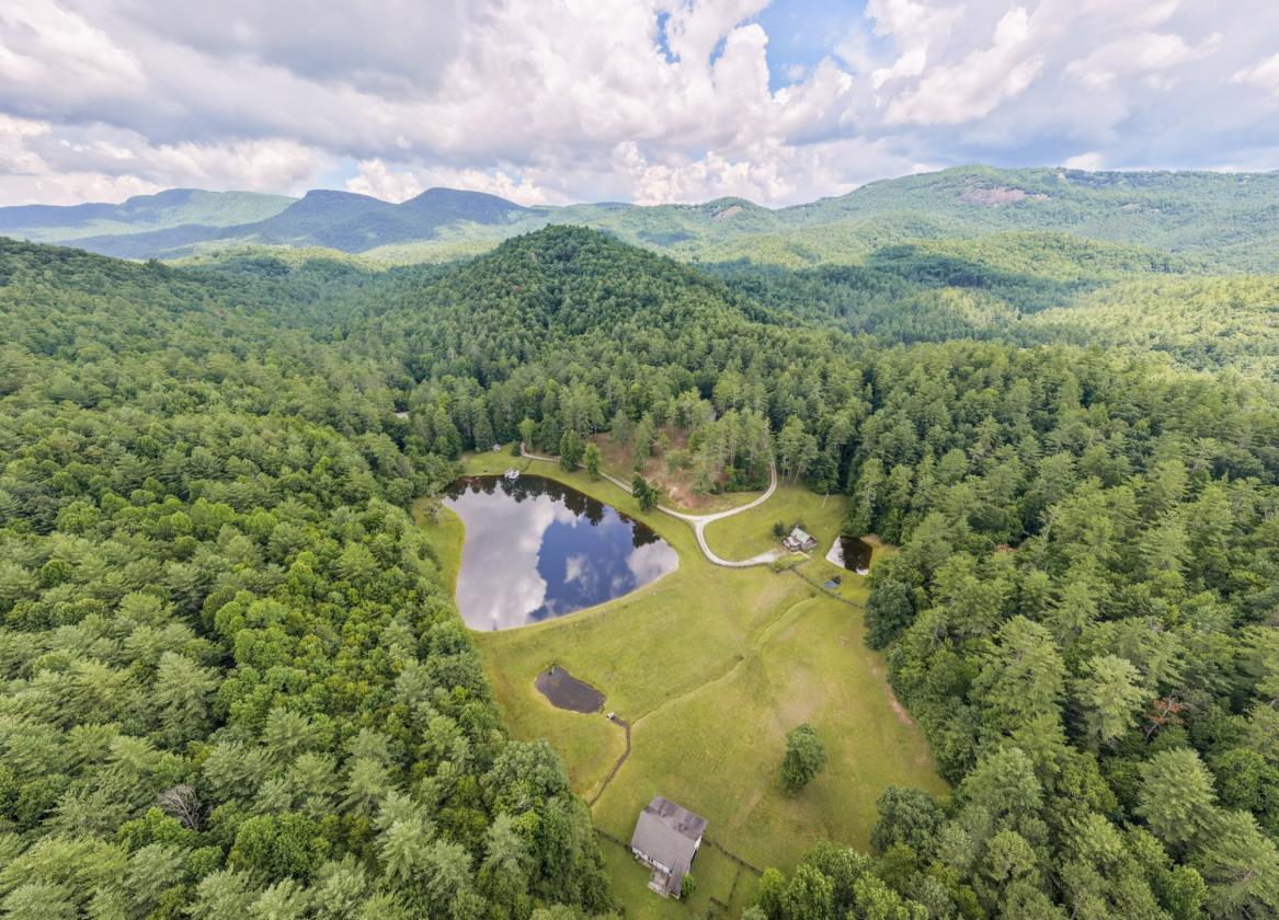 Luxury Equestrian Estate Bordering National Forest - photo 1