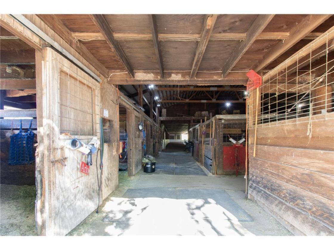 Brightonwood Horse Farm - photo 10