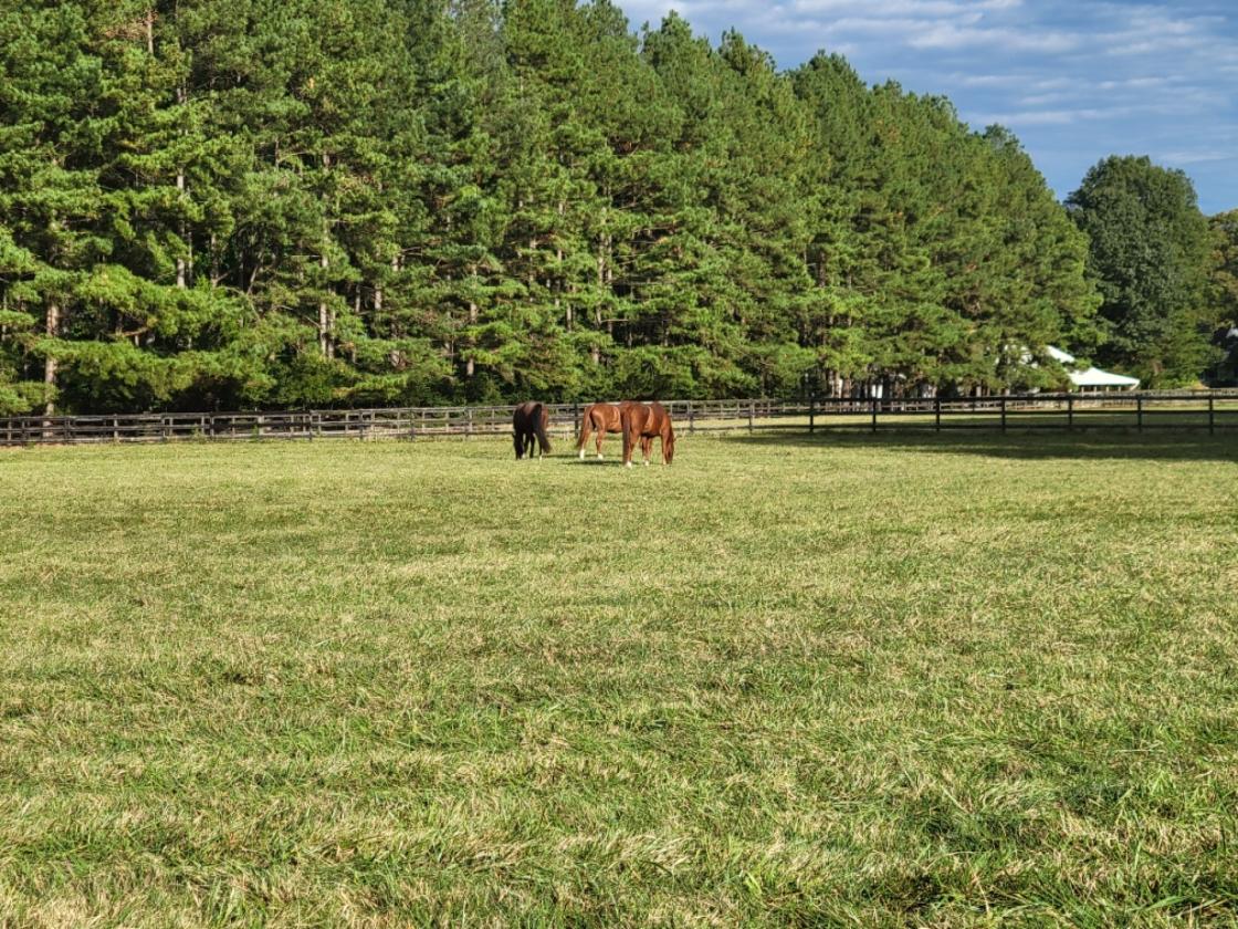 Waterfront Farm on 23 Acres - photo 21