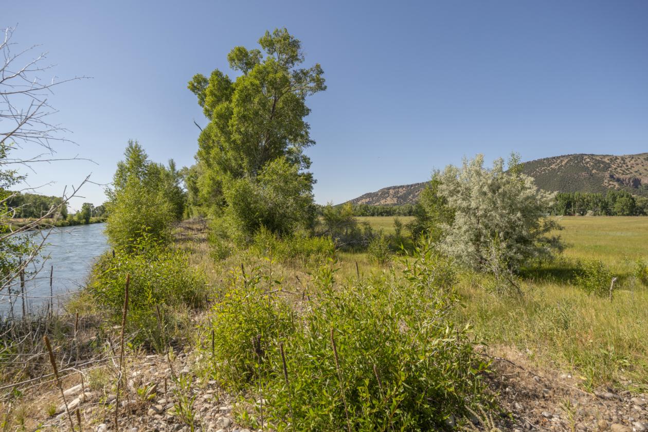 Beautiful Horse Property near the Snake River! - photo 30