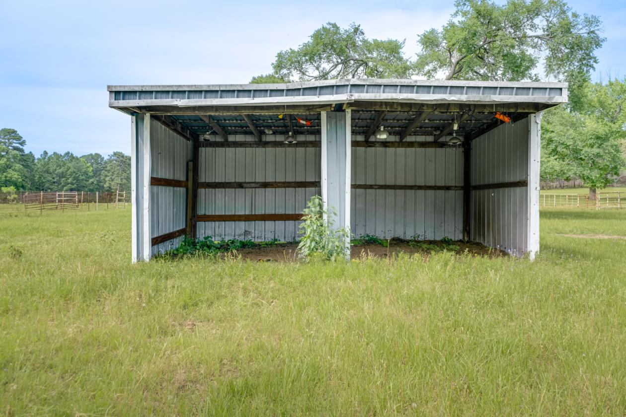 Beautiful Equestrian Ranch - photo 23