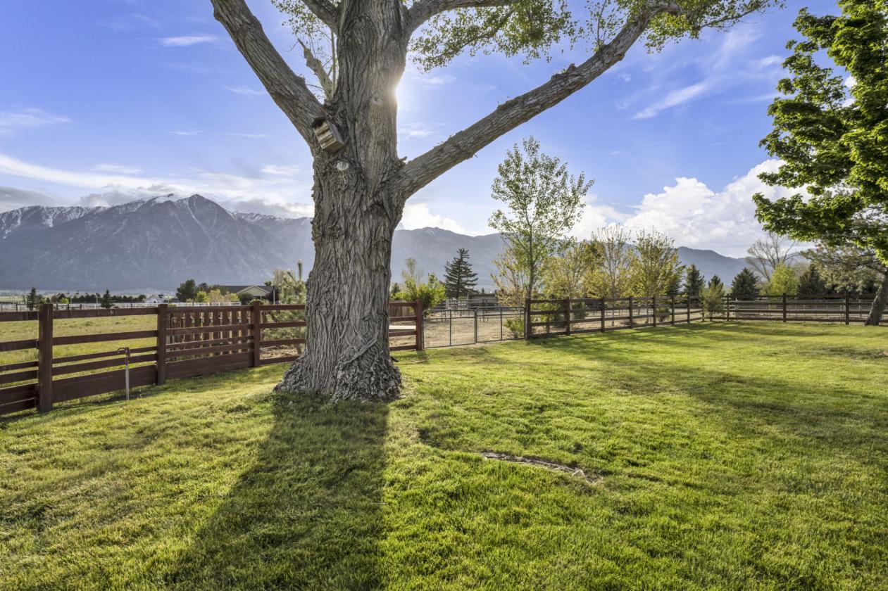 1.5 MILLION DOLLAR REMODELED HORSE ESTATE - photo 11