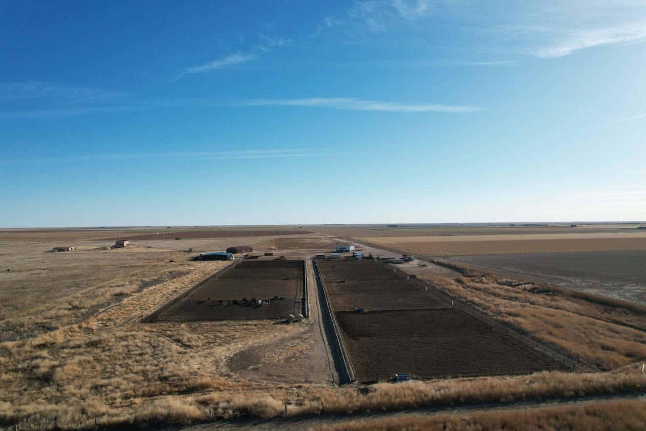 Feedyard & Equine Facility with Modern Homes - photo 7