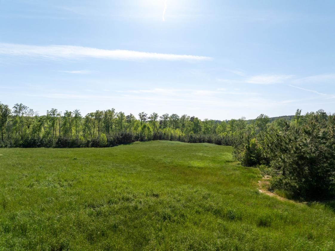 169 Acres, pastures, creeks, pond sites and trees - photo 5