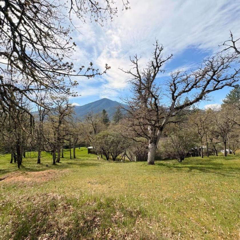 Horse acreage with substantial barn and views - photo 4