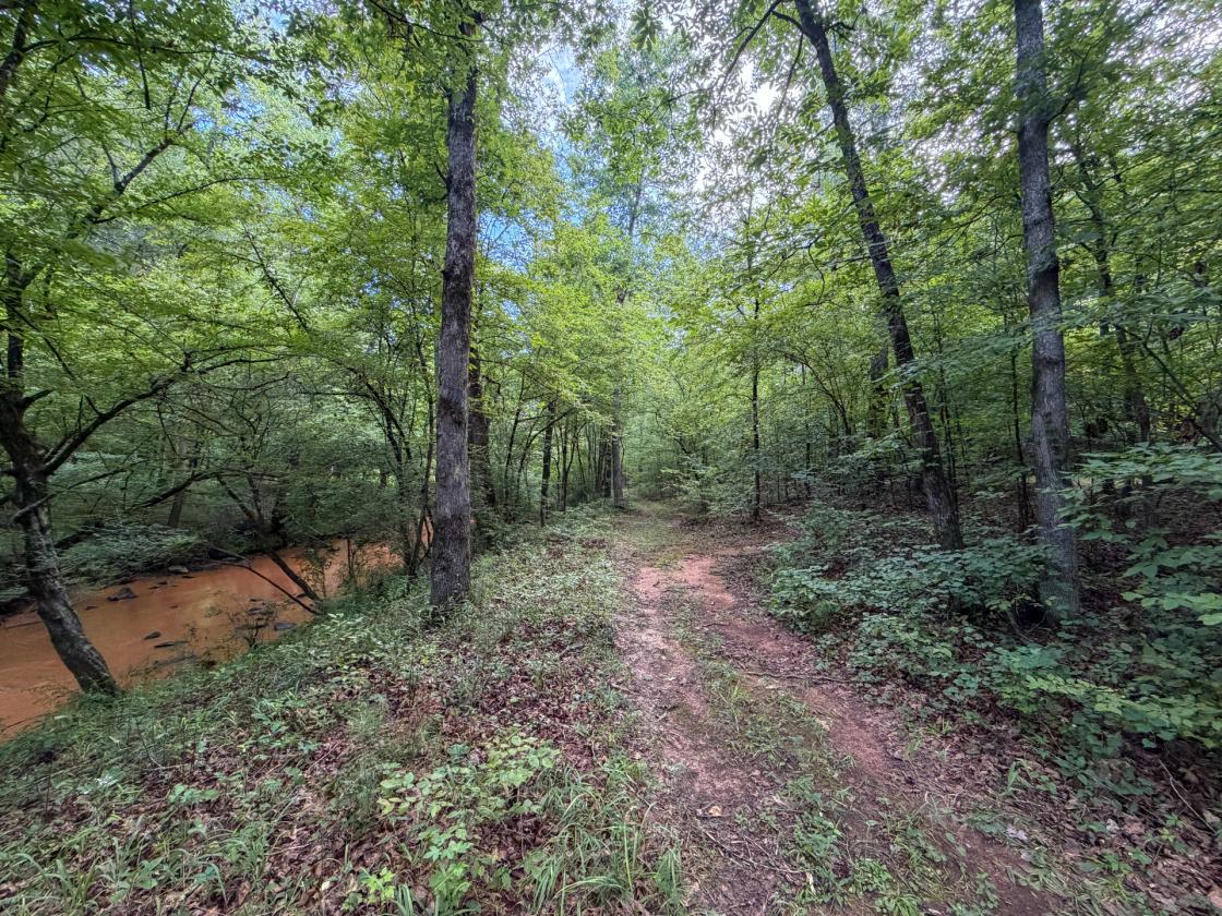 Bear Creek Retreat - photo 28