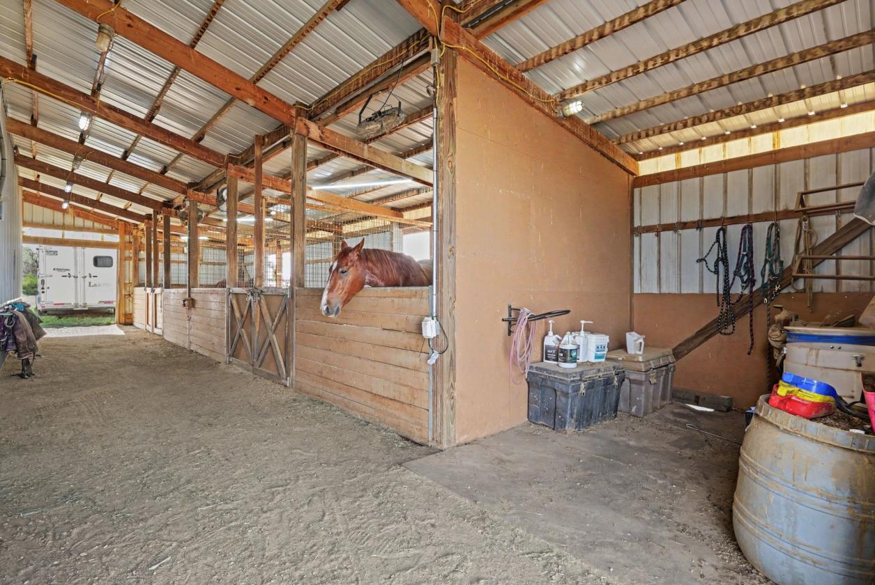 Country Living and Equestrian Excellence - photo 5