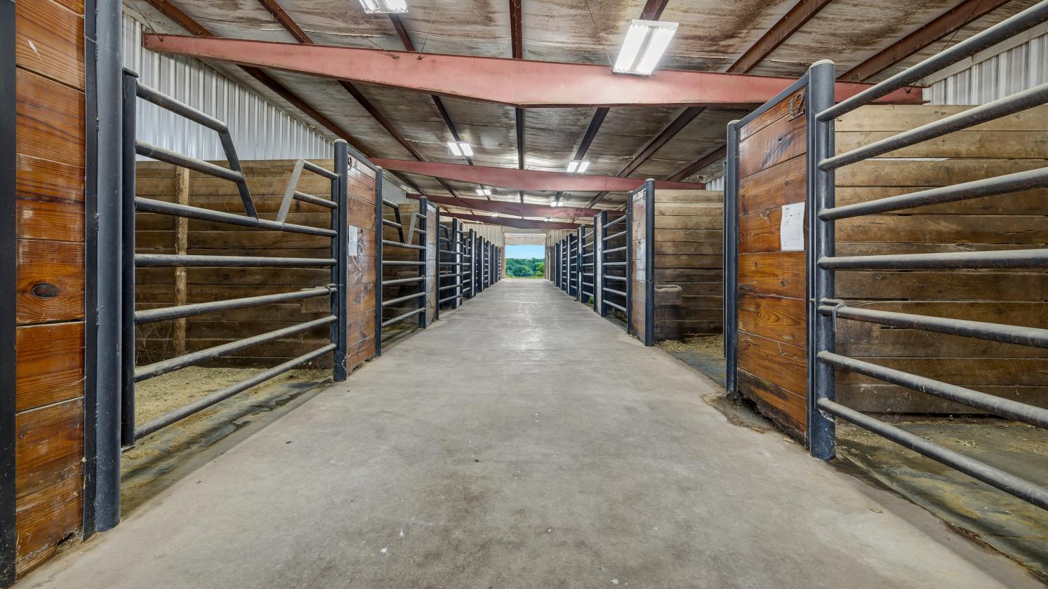 The Ultimate Equestrian Business Opportunity - photo 4
