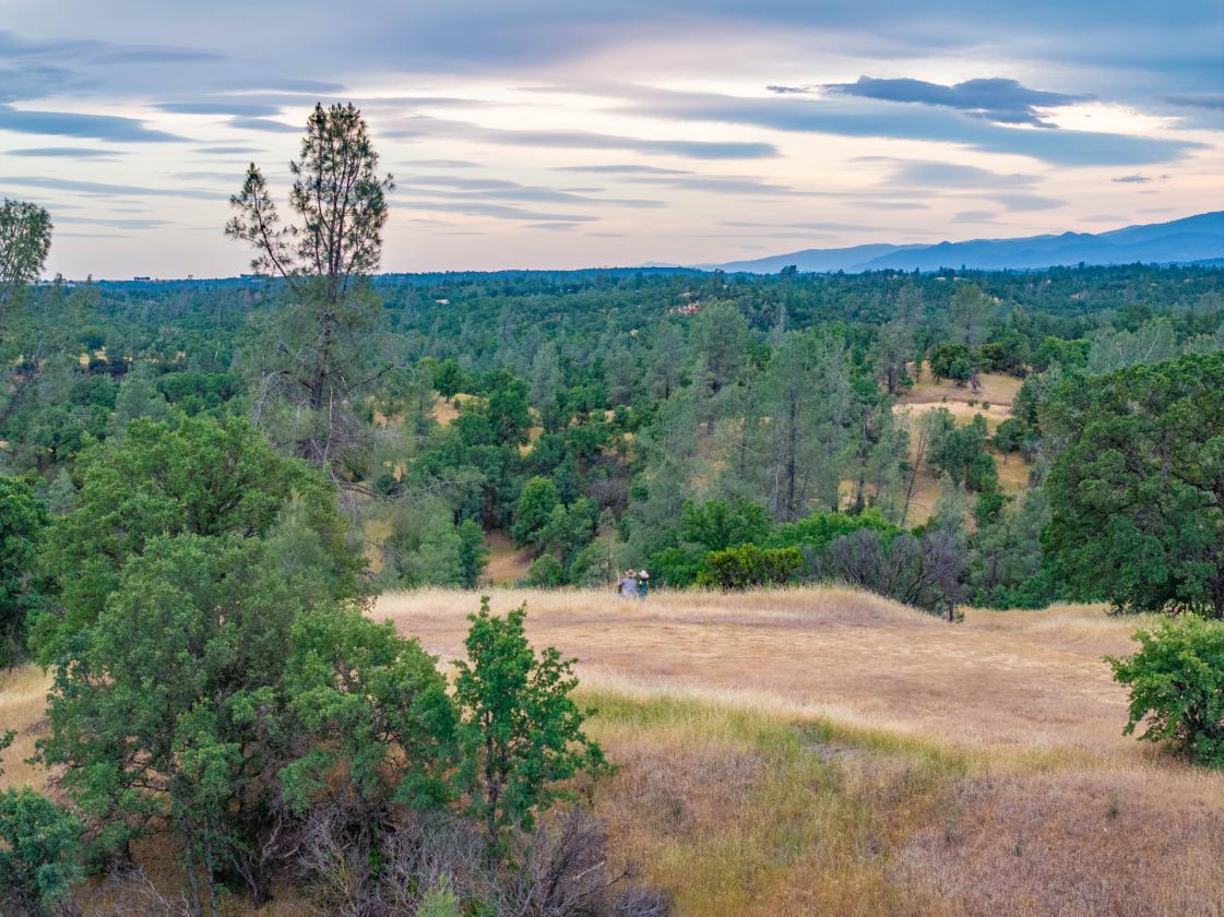480 Acre Litte Crane Creek Ranch - photo 20