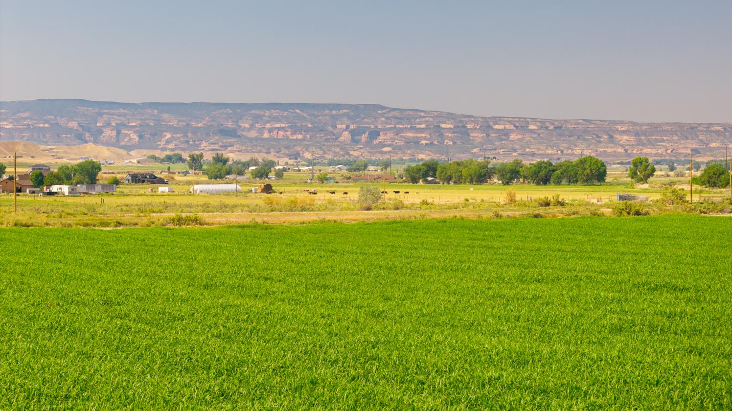 Wide Open Spaces with Irrigated Acerage - photo 2