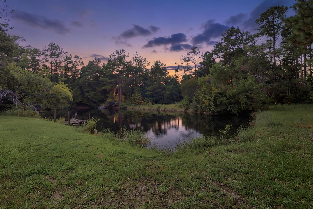 14.5 acres in South Mississippi: 5ba/5ba 2019 - photo 4