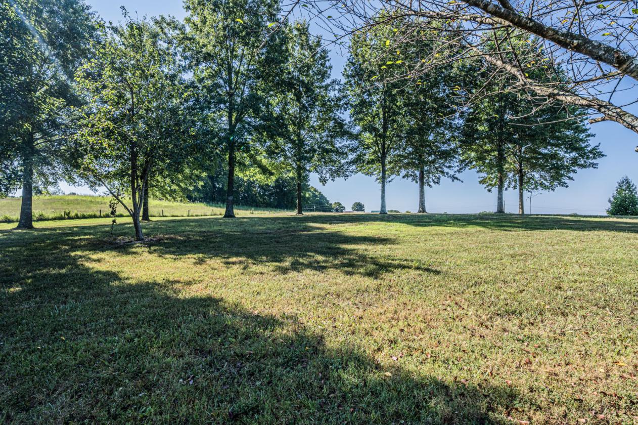 A Home Place Where Quiet Life Meets Horse Country - photo 18