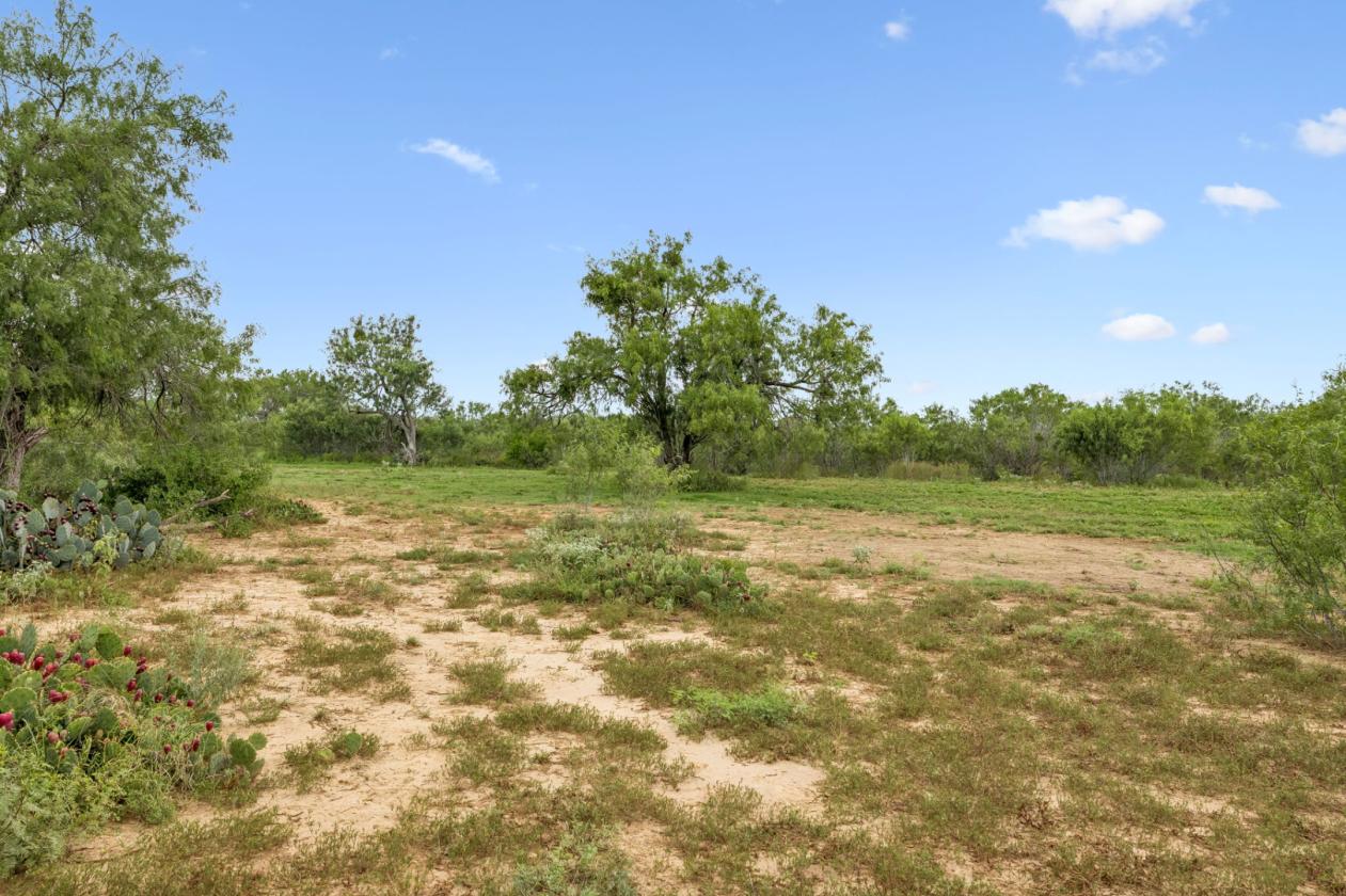 17.43 acres near Saint Hedwig - photo 7