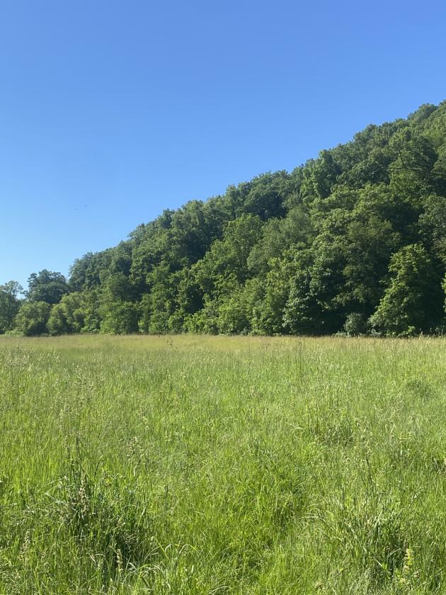 Deep River Farm - photo 4