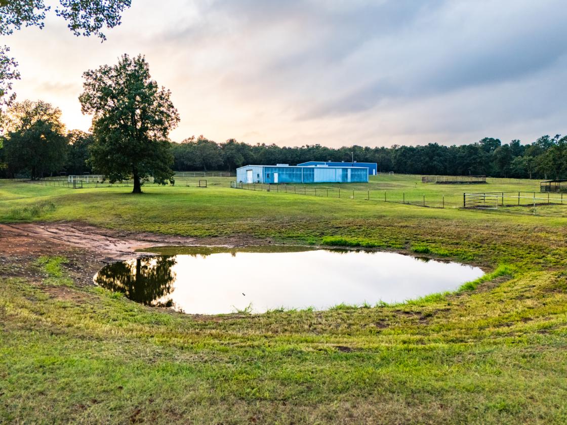 The S Dobbs Ranch - photo 5